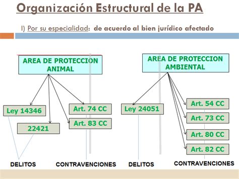 Un Modelo De Polic A Ambiental En La Ciudad Aut Noma De Buenos Aires Al D A Argentina