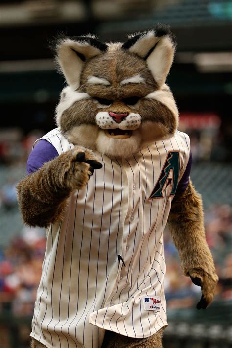 In Honor Of Internationalcatday Here Are The 10 Best Cat Mascots In