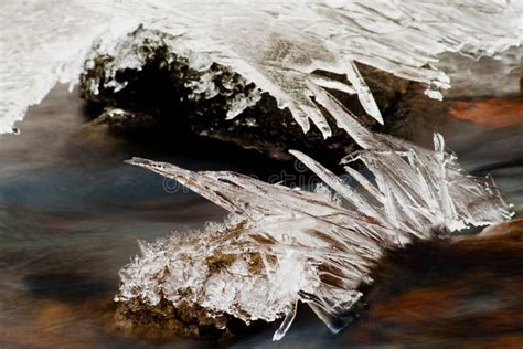 Ice Formation In A Small Creek Stock Photo Image Of Background