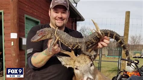 Hunter Shoots Alligator While Deer Hunting In Minnesota Youtube