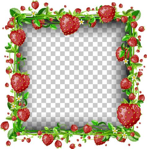 Best Strawberry Border Illustrations Royalty Free Vector Graphics