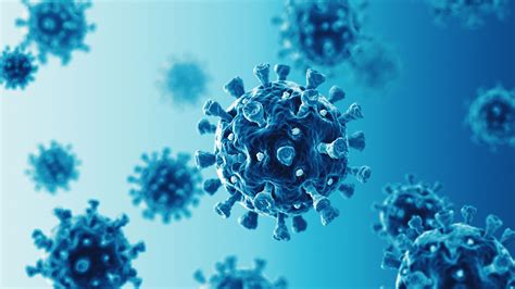 Get the latest from the cdc. Coronavirus: aantal Limburgse besmettingen verdubbeld ...
