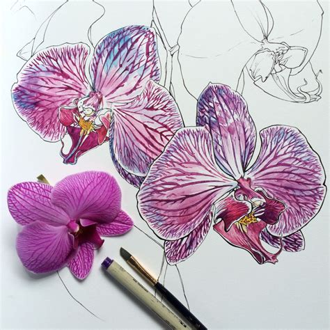 Pin By Christin Nilsson On Akryl Orchids Painting Line Art Drawings
