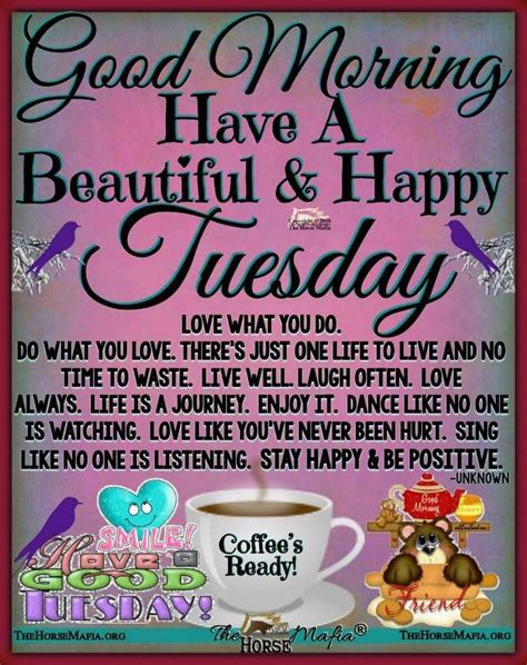 Happy Tuesday Tuesday Quotes Good Morning Happy Tuesday Quotes