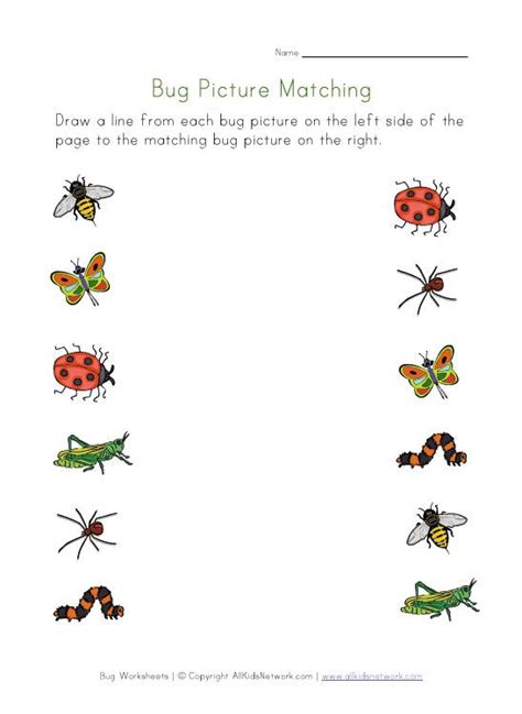 Bug Count And Color Worksheet