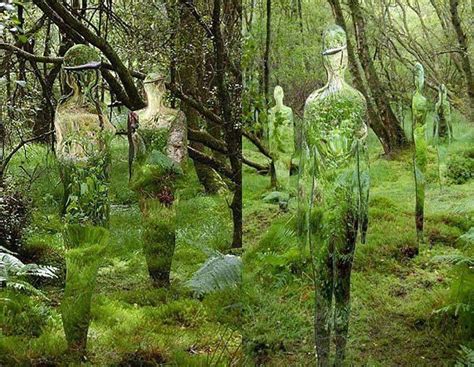 Mirror Sculptures Reflect The Forest By Scottish Artist Rob Mulholland