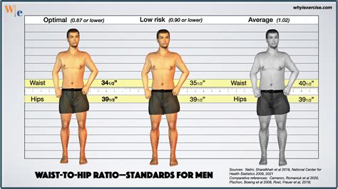 Waist To Hip Ratio Reliable Research Shows If You Need To Lose Weight