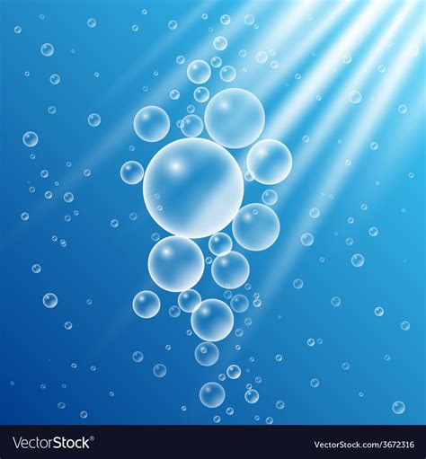 Sea Bubbles Royalty Free Vector Image Vectorstock