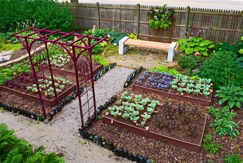 Front Yard Vegetable Garden Design All About Hobby