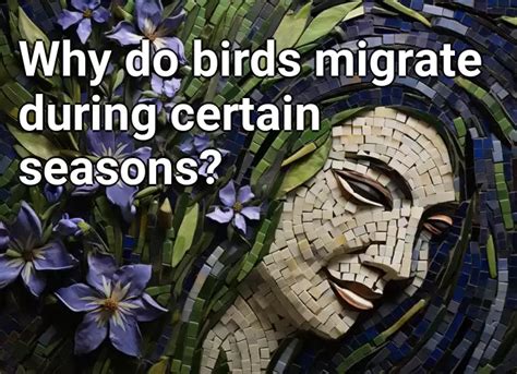 Why Do Birds Migrate During Certain Seasons Gardeninggovcapital