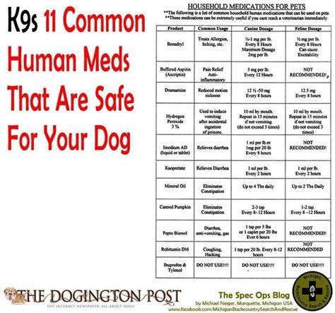 Human Medicines Safe For Dogs Pet Health Pinterest