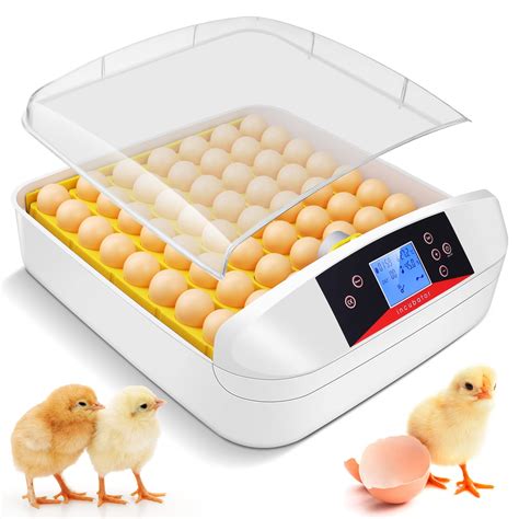 Buy Sailnovo Egg Incubator 55 Incubators For Hatching Eggs With Fully