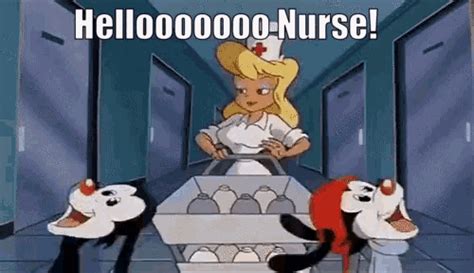 Hello Nurse Ani Maniacs  Hello Nurse Ani Maniacs Discover