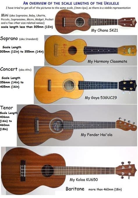 An Overview Of The Scale Lengths Of The Ukulele Ukulele Scales