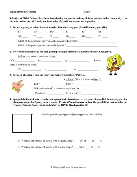Inabinet reviews answers to the spongebob genetics quiz review sheet. SpongeBob Genetics WS 1
