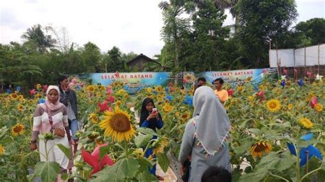 Berkunjung ke pandeglang jangan lupa untuk mampir ke taman nasional ujung kulon, tempat penangkaran untuk spesies badak jawa. Alamat Taman Bunga Pandeglang / Taman Bunga Nusantara Rute ...