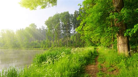 Desktop Hintergrundbilder Weg Natur Sommer See Gras Bäume 1920x1080