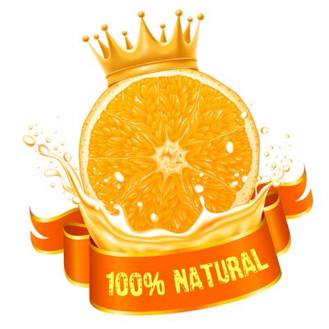 Natural Orange Juice Labels Vector Free Download