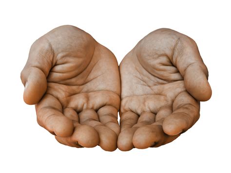 Cupped Hands Png