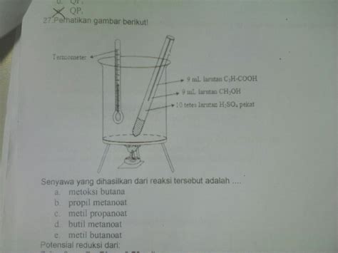 Senyawa ionik adalah jenis senyawa yang sepenuhnya netral di alam. Perhatikan Gambar Berikut Senyawa Yang Dihasilkan Dari ...