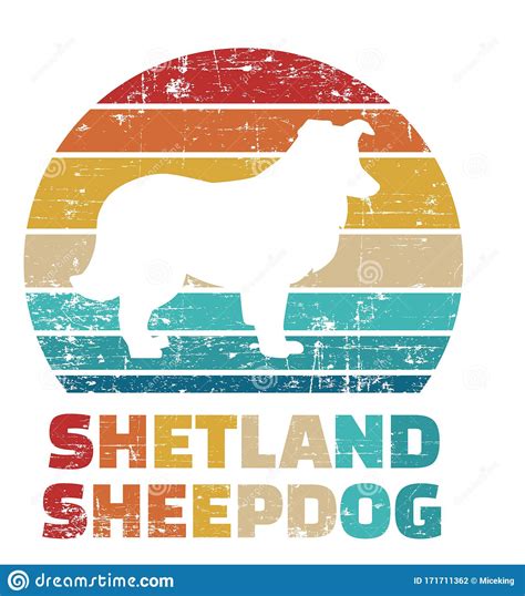 Shetland Sheepdog Dog Transparent Icon Shetland Sheepdog Dog Symbol