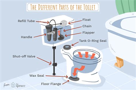 Understanding The Parts Of A Toilet