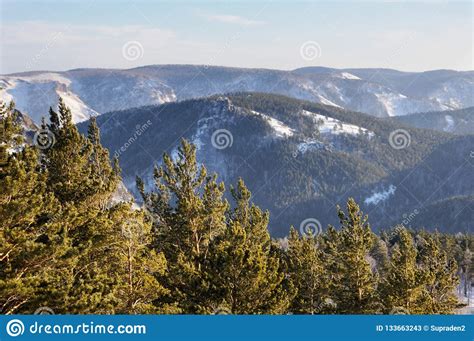 Winter Mountain Landscape With Snowy Mountains Covered With Pine Tree