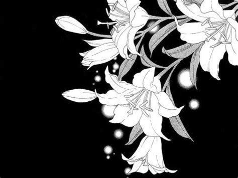 Image About Flowers In Anime By Bunbury On We Heart It Anime Flower Blossoms Art Anime