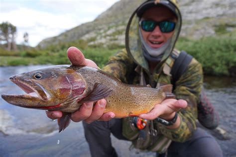 Wind River Gold Hunt Trip Report Lillard Fly Fishing Expeditions