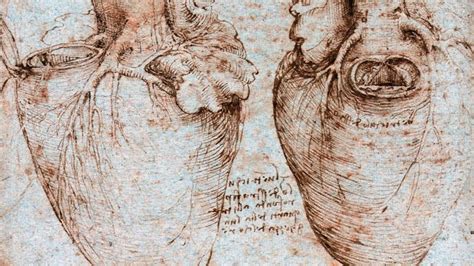 Leonardo Da Vincis Elegant Studies Of The Human Heart Were 500 Years