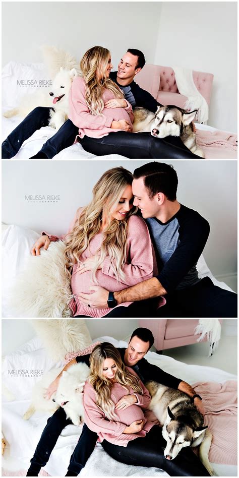 Studio Maternity Photos With Pups Dogs Husband White Studio On Bed