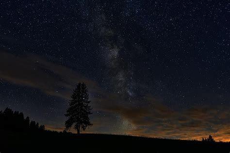 Tapeta świerk Noc Drzewo Gwiazdy Gwiaździste Niebo Hd Panoramiczny