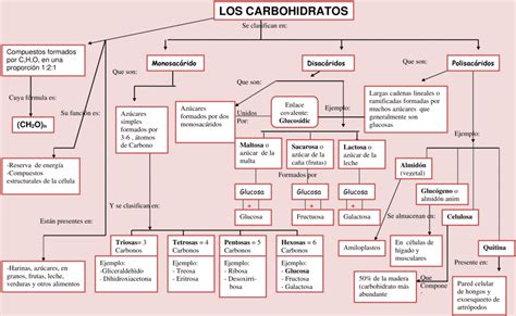 Mapas Conceptuales De Los Carbohidratos 【descargar】