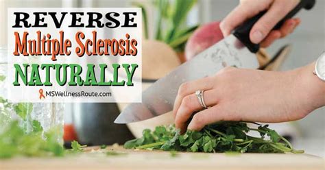 Reverse Multiple Sclerosis Naturally Ms Wellness Route