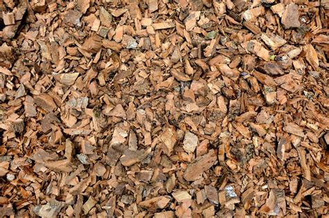 Bark Chippings Stock Image Image Of Biomass Chip Biofuel 252604381