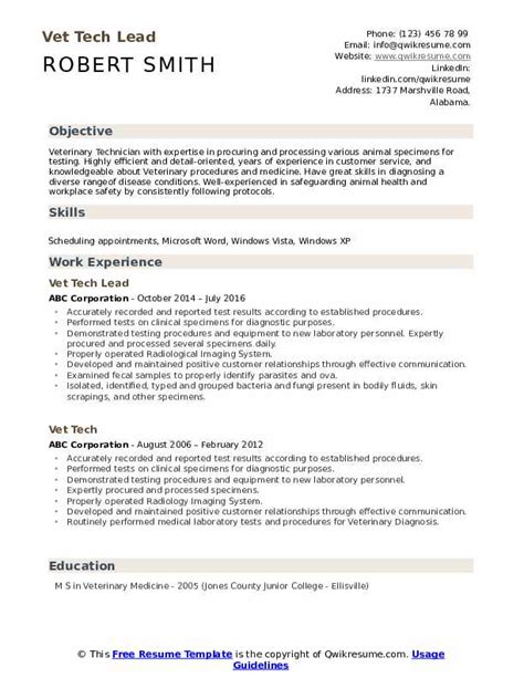 Tech Resume Examples For Vrogue