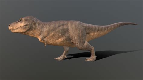 Trex Dinosaur With Pbr Textures 3d Model Ph