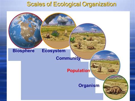 Ecosystems Definition And Types Eschool