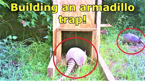 How To Build A Armadillo Trap Encycloall