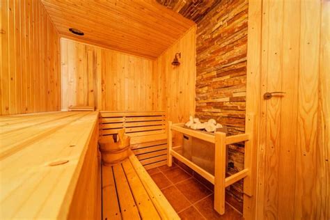 18 Different Types Of Saunas For Bringing On The Sweat