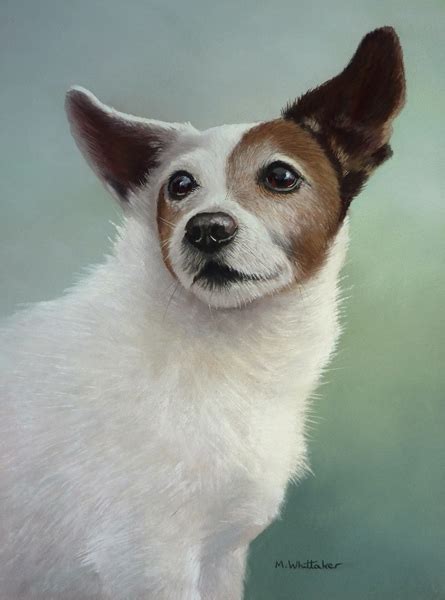 Mark Whittaker Pet Portrait And Wildlife Artist Pastel Painting Of Bobby