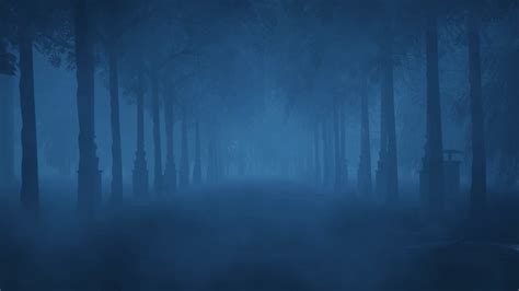 Walking Slowly Through The Path Of A Haunted Forest At Night Stock