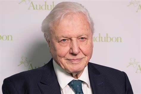 ‘planet Earth Narrator David Attenborough Says The Bbc Must Change