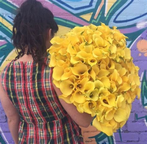 Allen's flowers is a carlsbad california florist. Calla Lily in 2020 | Calla lily flowers, Lily flower ...
