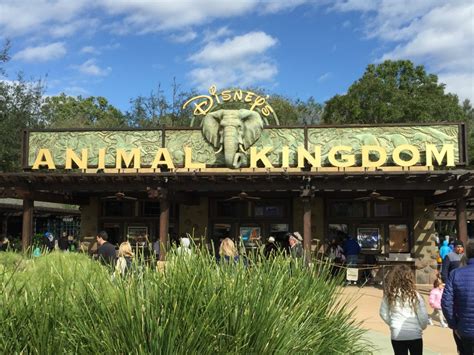 506,359 likes · 6,890 talking about this. Animal Kingdom, Disney Animal Kingdom - Disney's Animal ...