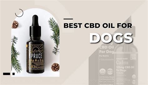 15 Best Cbd Oil For Dogs Best Cbd Supplements For Dogs