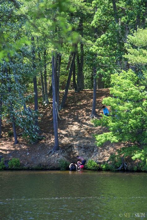 Georgiaville Pond See Swim