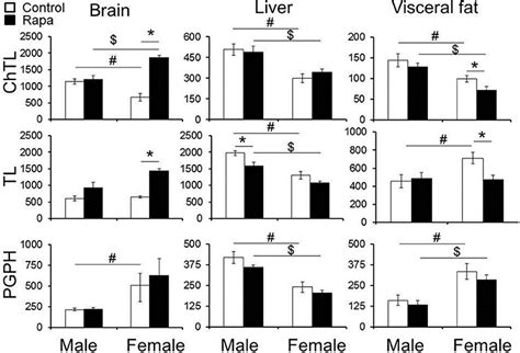 Frontiers Divergent Tissue And Sex Effects Of Rapamycin On The