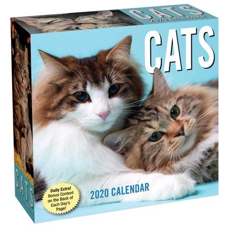 Take the pledge to better advocate for cats who call the where are the tiger king stars now? Cats 2020 Day-to-Day Calendar - Walmart.com
