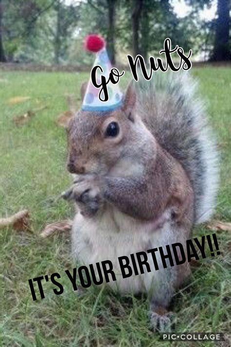 Squirrel Happy Birthday Meme Birthdaybuzz